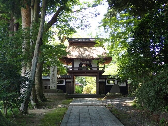 ⛩️ 사이넨지 (이나다젠보) 이미지 2